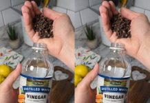 Uzmite čašu sirćeta, običnih karanfilića i dobro sačuvajte ovaj domaći trik: KORISTIM GA GODINAMA I PREPORUČUJEM SVIMA! Uzmite čašu sirćeta, običnih karanfilića i dobro sačuvajte ovaj domaći trik: KORISTIM GA GODINAMA I PREPORUČUJEM SVIMA! - featured image