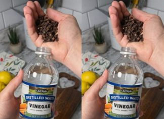 Uzmite čašu sirćeta, običnih karanfilića i dobro sačuvajte ovaj domaći trik: KORISTIM GA GODINAMA I PREPORUČUJEM SVIMA! Uzmite čašu sirćeta, običnih karanfilića i dobro sačuvajte ovaj domaći trik: KORISTIM GA GODINAMA I PREPORUČUJEM SVIMA! - featured image