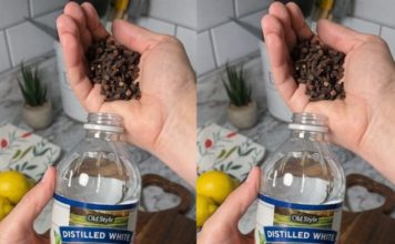 Uzmite čašu sirćeta, običnih karanfilića i dobro sačuvajte ovaj domaći trik: KORISTIM GA GODINAMA I PREPORUČUJEM SVIMA! Uzmite čašu sirćeta, običnih karanfilića i dobro sačuvajte ovaj domaći trik: KORISTIM GA GODINAMA I PREPORUČUJEM SVIMA! - featured image