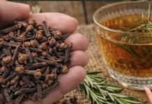 Ruzmarin i klinčić: tajna koju vam rijetko ko otkrije – zahvalit ćete kasnije Ruzmarin i klinčić: tajna koju vam rijetko ko otkrije – zahvalit ćete kasnije - featured image