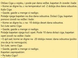 VIC DANA: Otišao Ciga u vojsku