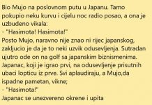 VIC DANA: Mujo u Japanu