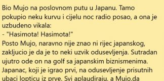 VIC DANA: Mujo u Japanu