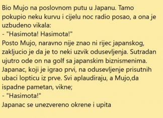 VIC DANA: Mujo u Japanu