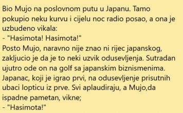 VIC DANA: Mujo u Japanu