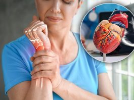 Bolest koja uništava zglobove i srce: Prepoznajte opasnu reumatsku groznicu na vreme Bolest koja uništava zglobove i srce: Prepoznajte opasnu reumatsku groznicu na vreme - featured image