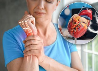 Bolest koja uništava zglobove i srce: Prepoznajte opasnu reumatsku groznicu na vreme Bolest koja uništava zglobove i srce: Prepoznajte opasnu reumatsku groznicu na vreme - featured image