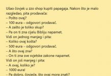 VIC DANA: Skupi papagaji