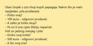 VIC DANA: Skupi papagaji