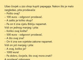 VIC DANA: Skupi papagaji