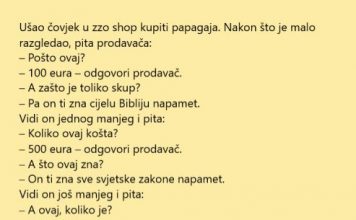 VIC DANA: Skupi papagaji