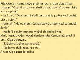 VIC DANA: Mali Ciga znatiželjan