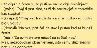VIC DANA: Mali Ciga znatiželjan