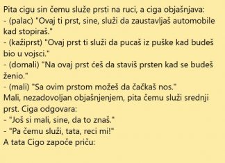 VIC DANA: Mali Ciga znatiželjan