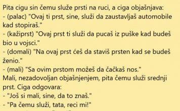 VIC DANA: Mali Ciga znatiželjan
