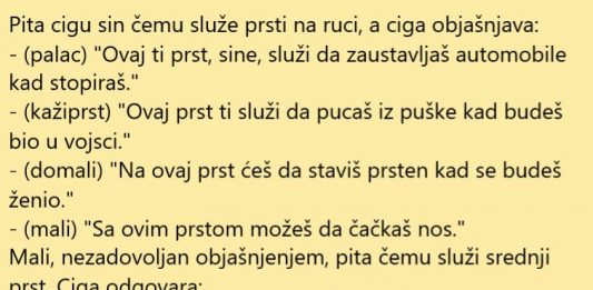 VIC DANA: Mali Ciga znatiželjan