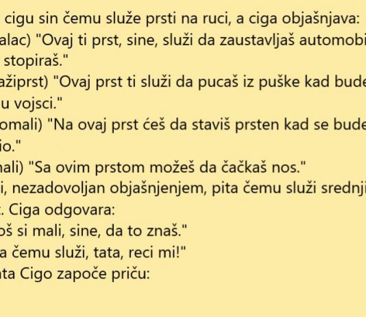 VIC DANA: Mali Ciga znatiželjan