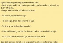 VIC DANA: Upecao Lala ogromnog soma