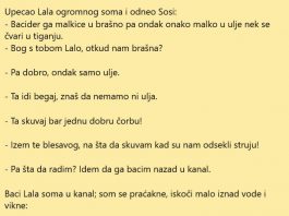 VIC DANA: Upecao Lala ogromnog soma