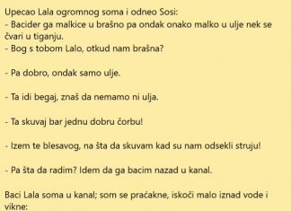 VIC DANA: Upecao Lala ogromnog soma
