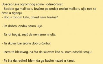 VIC DANA: Upecao Lala ogromnog soma