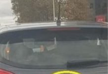 D0DA0 JE 2 slova uz marku svog auta i nasmejao ceo Balkan do suza… (foto)