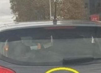 D0DA0 JE 2 slova uz marku svog auta i nasmejao ceo Balkan do suza… (foto)