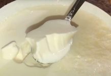 OVAJ BELI “OTROV” SVI JEDEMO I 3 PUTA JE GORI OD SLATKIŠA: Mislimo da je ZDRAV, a ovo je JEDINA SUROVA ISTINA! OVAJ BELI "OTROV" SVI JEDEMO I 3 PUTA JE GORI OD SLATKIŠA: Mislimo da je ZDRAV, a ovo je JEDINA SUROVA ISTINA! - featured image