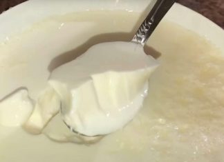 OVAJ BELI “OTROV” SVI JEDEMO I 3 PUTA JE GORI OD SLATKIŠA: Mislimo da je ZDRAV, a ovo je JEDINA SUROVA ISTINA! OVAJ BELI "OTROV" SVI JEDEMO I 3 PUTA JE GORI OD SLATKIŠA: Mislimo da je ZDRAV, a ovo je JEDINA SUROVA ISTINA! - featured image