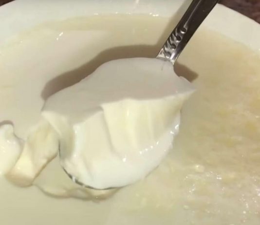 OVAJ BELI “OTROV” SVI JEDEMO I 3 PUTA JE GORI OD SLATKIŠA: Mislimo da je ZDRAV, a ovo je JEDINA SUROVA ISTINA! OVAJ BELI "OTROV" SVI JEDEMO I 3 PUTA JE GORI OD SLATKIŠA: Mislimo da je ZDRAV, a ovo je JEDINA SUROVA ISTINA! - featured image