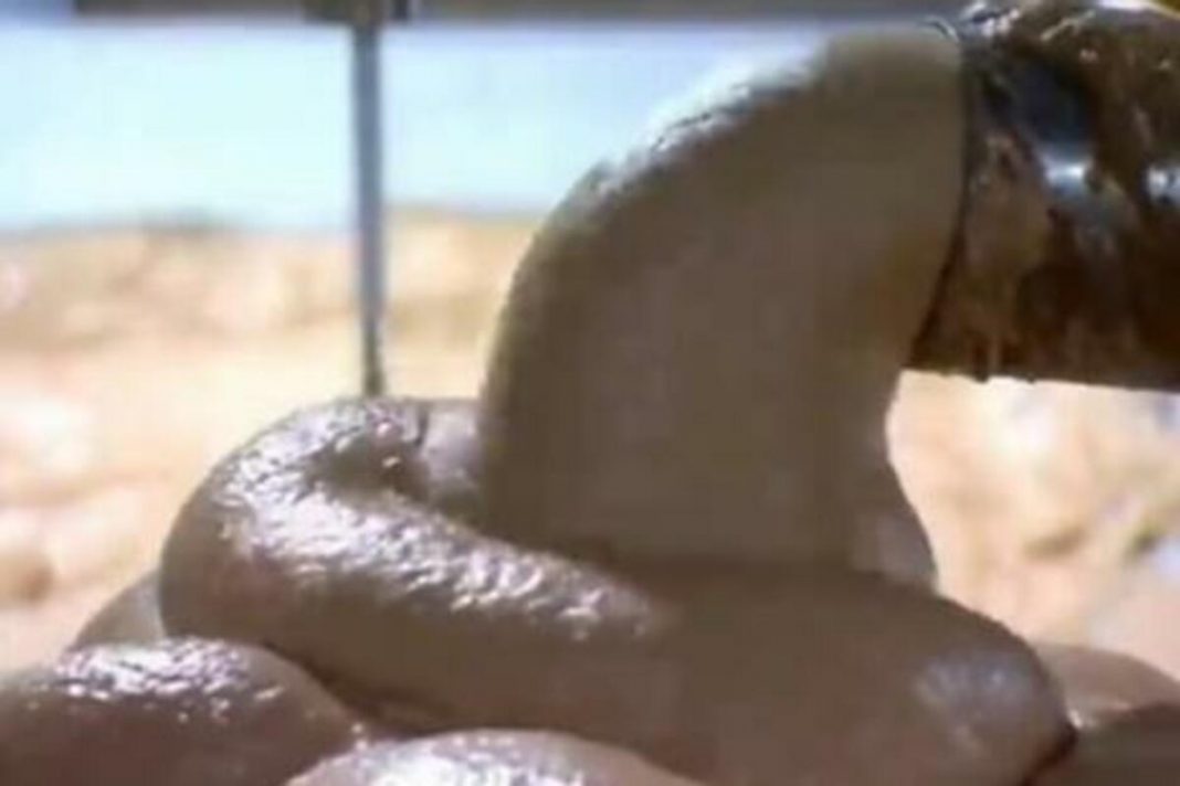 OVO JE NAJOPASNIJA HRANA, A U SRBIJI SE JEDE STALNO: Često je na SNIŽENJU, a niko neće reći da može biti i OTROVNA! - featured image