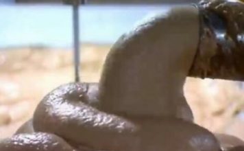 OVO JE NAJOPASNIJA HRANA, A U SRBIJI SE JEDE STALNO: Često je na SNIŽENJU, a niko neće reći da može biti i OTROVNA! OVO JE NAJOPASNIJA HRANA, A U SRBIJI SE JEDE STALNO: Često je na SNIŽENJU, a niko neće reći da može biti i OTROVNA! - featured image