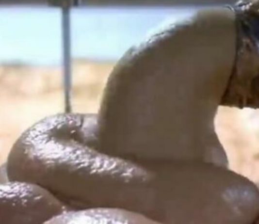 OVO JE NAJOPASNIJA HRANA, A U SRBIJI SE JEDE STALNO: Često je na SNIŽENJU, a niko neće reći da može biti i OTROVNA! OVO JE NAJOPASNIJA HRANA, A U SRBIJI SE JEDE STALNO: Često je na SNIŽENJU, a niko neće reći da može biti i OTROVNA! - featured image