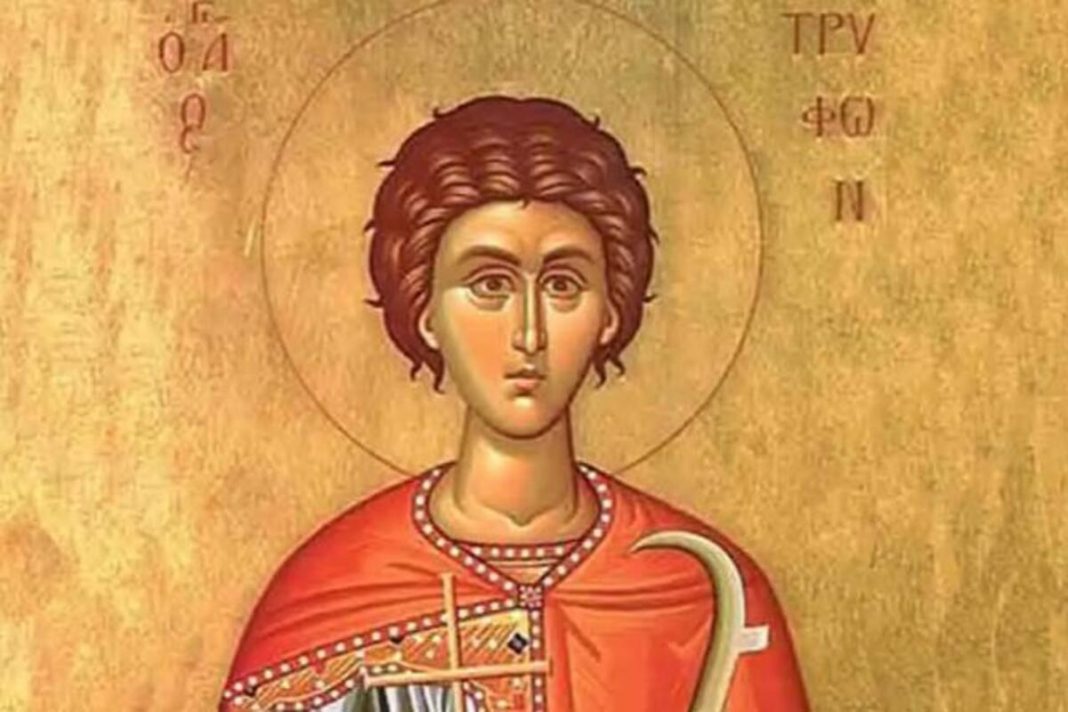 DANAS IZBEGNITE GREH KOJI VEĆINA ČINI NESVESNO! Slavimo Svetog Trifuna, veliki je praznik, NE ZABORAVITE DA... - featured image DANAS IZBEGNITE GREH KOJI VEĆINA ČINI NESVESNO! Slavimo Svetog Trifuna, veliki je praznik, NE ZABORAVITE DA... - featured image