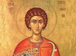 DANAS IZBEGNITE GREH KOJI VEĆINA ČINI NESVESNO! Slavimo Svetog Trifuna, veliki je praznik, NE ZABORAVITE DA… DANAS IZBEGNITE GREH KOJI VEĆINA ČINI NESVESNO! Slavimo Svetog Trifuna, veliki je praznik, NE ZABORAVITE DA... - featured image