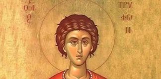 DANAS IZBEGNITE GREH KOJI VEĆINA ČINI NESVESNO! Slavimo Svetog Trifuna, veliki je praznik, NE ZABORAVITE DA… DANAS IZBEGNITE GREH KOJI VEĆINA ČINI NESVESNO! Slavimo Svetog Trifuna, veliki je praznik, NE ZABORAVITE DA... - featured image