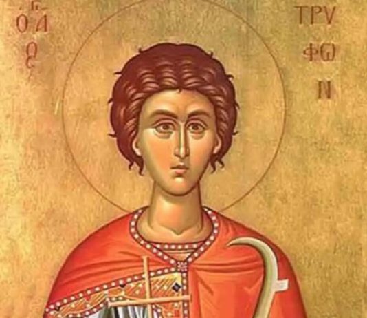 DANAS IZBEGNITE GREH KOJI VEĆINA ČINI NESVESNO! Slavimo Svetog Trifuna, veliki je praznik, NE ZABORAVITE DA… DANAS IZBEGNITE GREH KOJI VEĆINA ČINI NESVESNO! Slavimo Svetog Trifuna, veliki je praznik, NE ZABORAVITE DA... - featured image