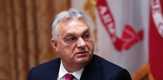 Udarna vest iz Mađarske, ORBAN NAJAVIO JEZIV SCENARIO! U javnost izneo ZASTRAŠUJUĆE STVARI, svet ZANEMEO U SEKUNDI Udarna vest iz Mađarske, ORBAN NAJAVIO JEZIV SCENARIO! U javnost izneo ZASTRAŠUJUĆE STVARI, svet ZANEMEO U SEKUNDI - featured image