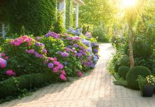 Ceo kraj će vam zavideti na bašti! Evo šta uraditi u februaru da bi vam cvetni vrt na proleće i leto bio veličanstven Ceo kraj će vam zavideti na bašti! Evo šta uraditi u februaru da bi vam cvetni vrt na proleće i leto bio veličanstven - featured image