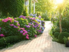 Ceo kraj će vam zavideti na bašti! Evo šta uraditi u februaru da bi vam cvetni vrt na proleće i leto bio veličanstven Ceo kraj će vam zavideti na bašti! Evo šta uraditi u februaru da bi vam cvetni vrt na proleće i leto bio veličanstven - featured image