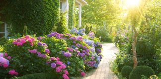 Ceo kraj će vam zavideti na bašti! Evo šta uraditi u februaru da bi vam cvetni vrt na proleće i leto bio veličanstven Ceo kraj će vam zavideti na bašti! Evo šta uraditi u februaru da bi vam cvetni vrt na proleće i leto bio veličanstven - featured image