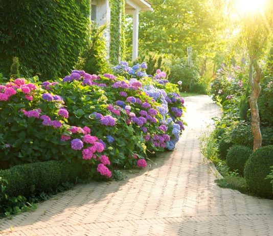 Ceo kraj će vam zavideti na bašti! Evo šta uraditi u februaru da bi vam cvetni vrt na proleće i leto bio veličanstven Ceo kraj će vam zavideti na bašti! Evo šta uraditi u februaru da bi vam cvetni vrt na proleće i leto bio veličanstven - featured image