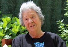 Spas Za Dijabetičare, Reguliše Šećer, Pritisak I Holesterol: ŠTO PRIJE POČNITE DA KORISTITE OVU BILJKU! Spas Za Dijabetičare, Reguliše Šećer, Pritisak I Holesterol: ŠTO PRIJE POČNITE DA KORISTITE OVU BILJKU! - featured image