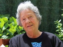 Spas Za Dijabetičare, Reguliše Šećer, Pritisak I Holesterol: ŠTO PRIJE POČNITE DA KORISTITE OVU BILJKU! Spas Za Dijabetičare, Reguliše Šećer, Pritisak I Holesterol: ŠTO PRIJE POČNITE DA KORISTITE OVU BILJKU! - featured image