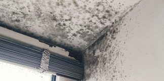 Ovako Finci trajno rešavaju problem vlage u kućama: Ne košta ništa, a provereno radi Ovako Finci trajno rešavaju problem vlage u kućama: Ne košta ništa, a provereno radi - featured image