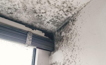 Ovako Finci trajno rešavaju problem vlage u kućama: Ne košta ništa, a provereno radi Ovako Finci trajno rešavaju problem vlage u kućama: Ne košta ništa, a provereno radi - featured image