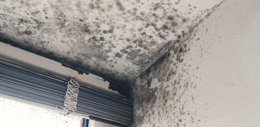 Ovako Finci trajno rešavaju problem vlage u kućama: Ne košta ništa, a provereno radi Ovako Finci trajno rešavaju problem vlage u kućama: Ne košta ništa, a provereno radi - featured image