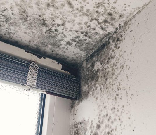 Ovako Finci trajno rešavaju problem vlage u kućama: Ne košta ništa, a provereno radi Ovako Finci trajno rešavaju problem vlage u kućama: Ne košta ništa, a provereno radi - featured image