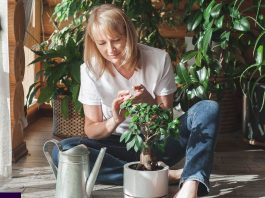 Najpreporučljivije đubrivo za sobne biljke od strane BAŠTOVANA: Imate ga u kuhinji kod kuće i posle njega sve živo cvjeta!