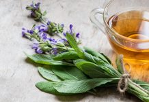 Čaj za smirivanje upale mokraćnih kanala: 5 magičnih biljaka protiv bakterija Čaj za smirivanje upale mokraćnih kanala: 5 magičnih biljaka protiv bakterija - featured image